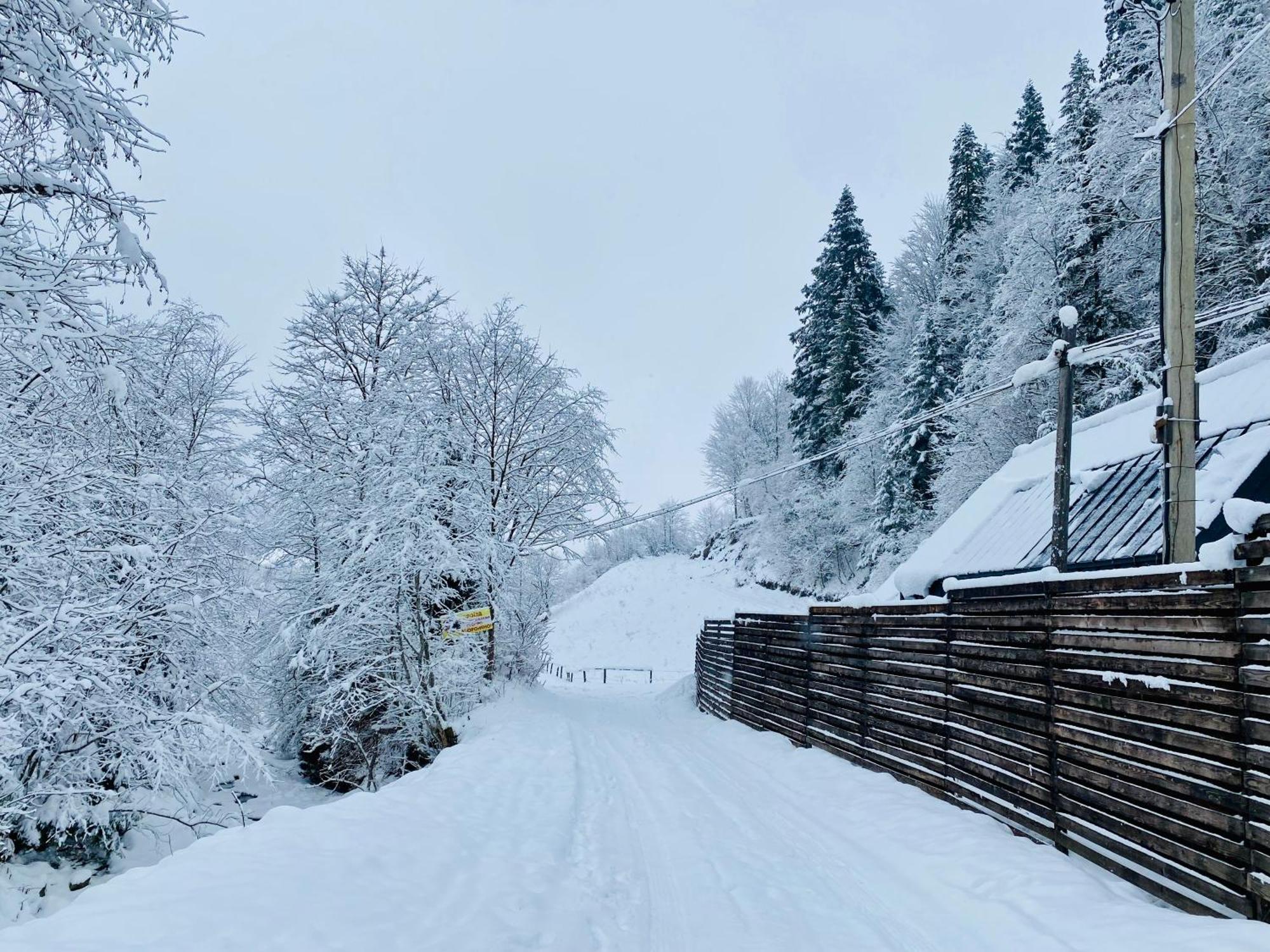 Bagriwood Lodges Yaremche Exterior photo