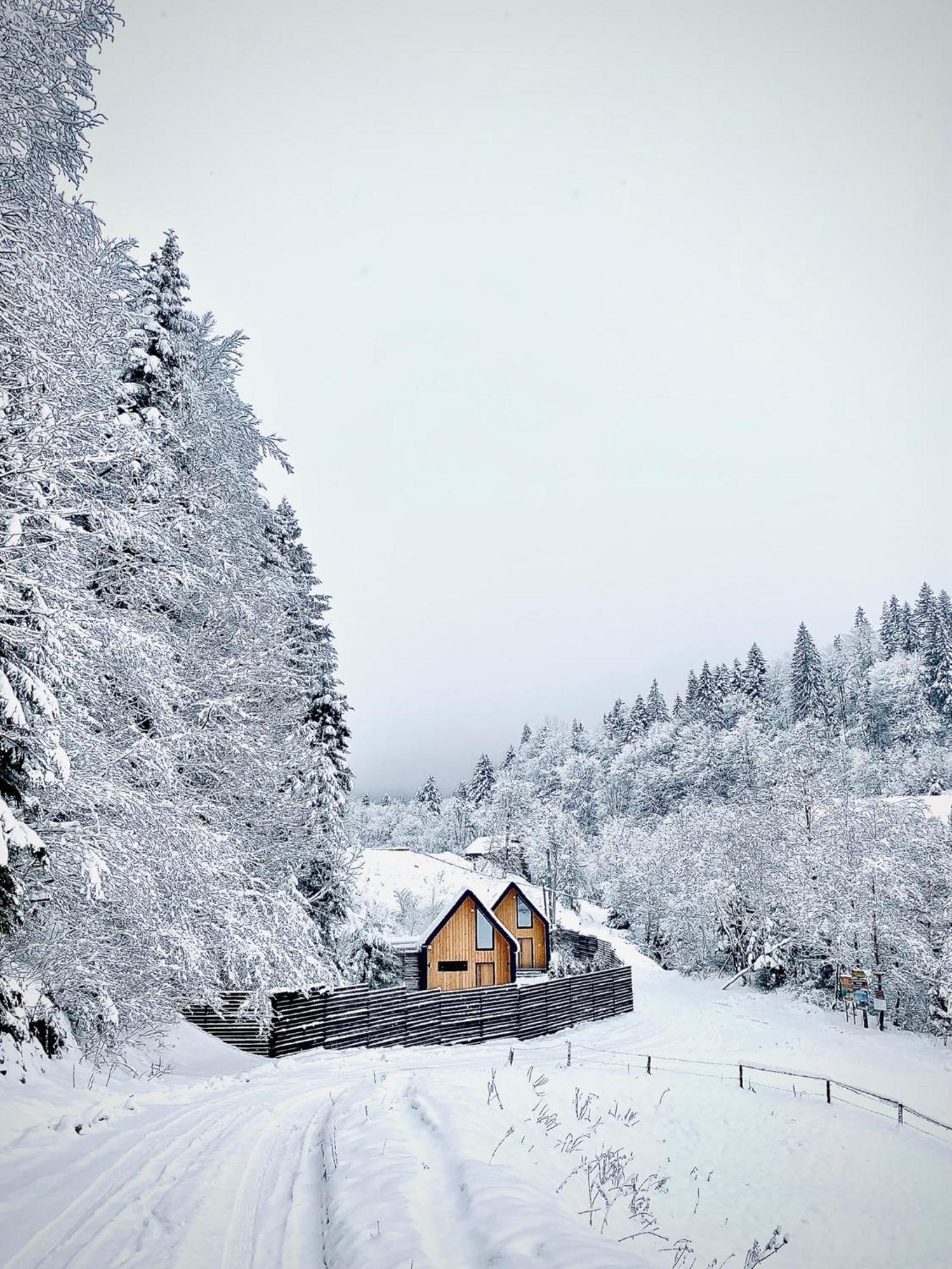 Bagriwood Lodges Yaremche Exterior photo